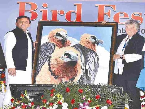 The cycle track will be made between Agra to Lion Safari